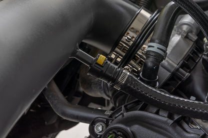 Cold Air Intake Kit | 5.0L | Ford  F-150 2WD/4WD (2021-2026) - Image 6