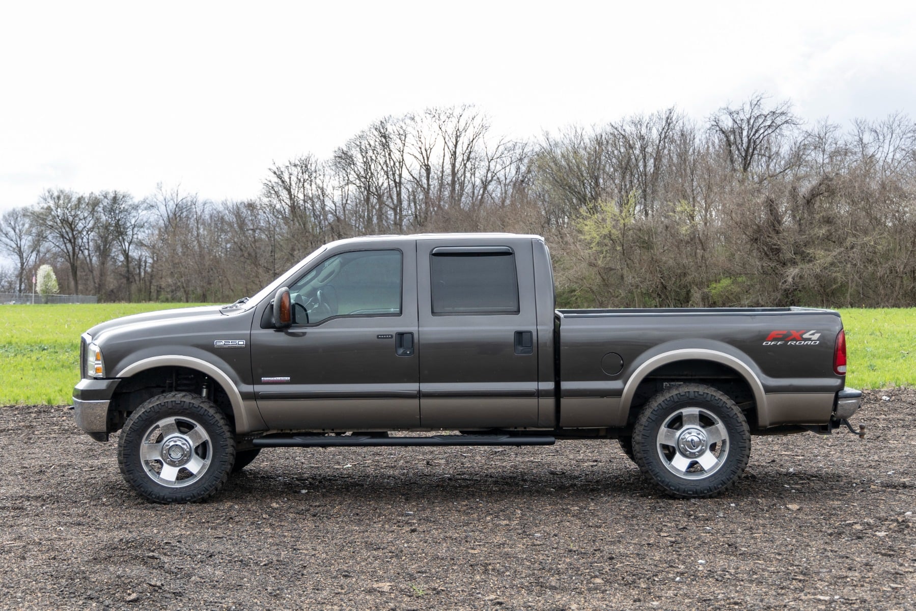Oval Nerf Step | Crew Cab | Black | Ford F-250/F-350 Super Duty (99-16) - Image 6