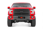 Mesh Grille | Ford F-150 2WD/4WD (2015-2017) - Image 2